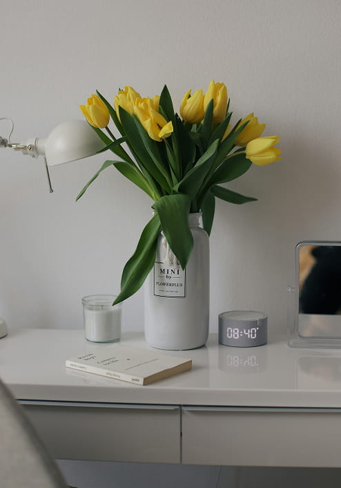 lifestyle photos 2